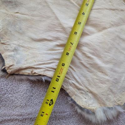 Pair Of Fur Remnants