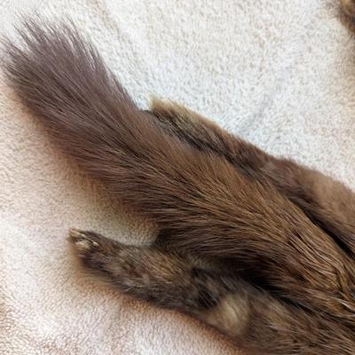 Vintage Abravanel 2 Pelt Mink Fur Stole Collar