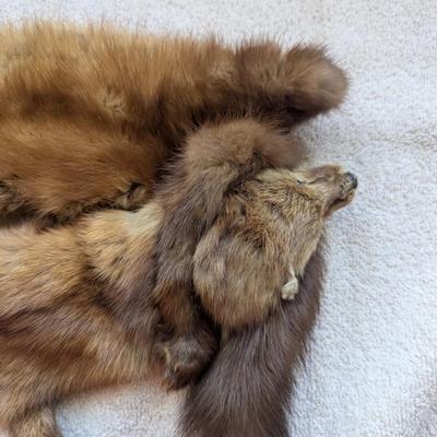 Vintage Abravanel 2 Pelt Mink Fur Stole Collar