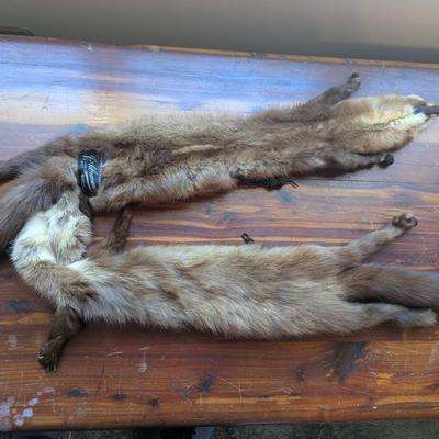 Vintage Abravanel 2 Pelt Mink Fur Stole Collar