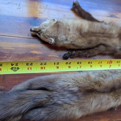 Vintage Abravanel 2 Pelt Mink Fur Stole Collar