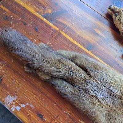 Vintage Abravanel 2 Pelt Mink Fur Stole Collar