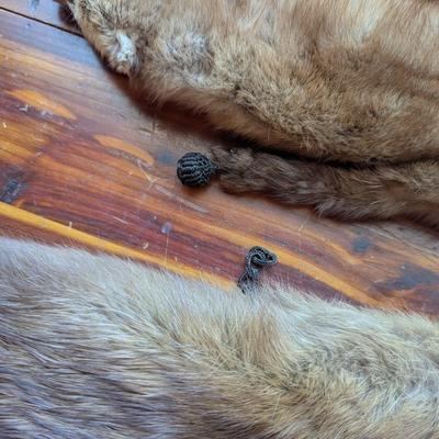 Vintage Abravanel 2 Pelt Mink Fur Stole Collar