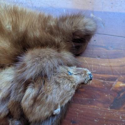 Vintage Abravanel 2 Pelt Mink Fur Stole Collar