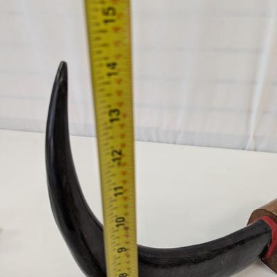 Philippines Scrimshaw Buffalo Horns