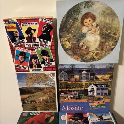 Puzzle Lot