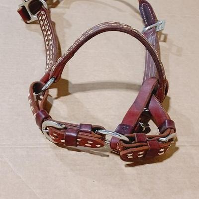 NICE LEATHER HORSE HALTER WITH MATCHING LEAD ROPE
