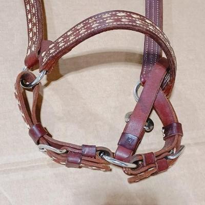 NICE LEATHER HORSE HALTER WITH MATCHING LEAD ROPE