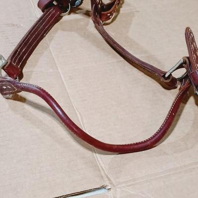 NICE LEATHER HORSE HALTER WITH MATCHING LEAD ROPE