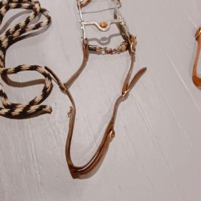 HORSE BRIDLE AND LEAD ROPE