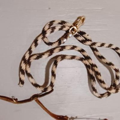 HORSE BRIDLE AND LEAD ROPE