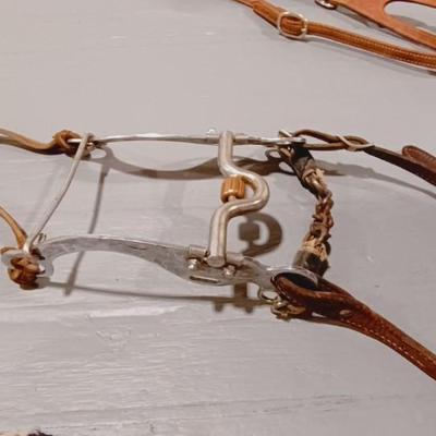 HORSE BRIDLE AND LEAD ROPE