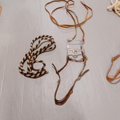 HORSE BRIDLE AND LEAD ROPE