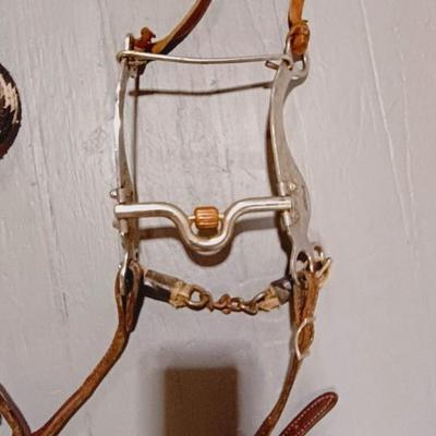 HORSE BRIDLE AND LEAD ROPE