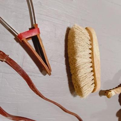 HORSE BRIDLE, LEAD ROPE AND GROOMING BRUSHES