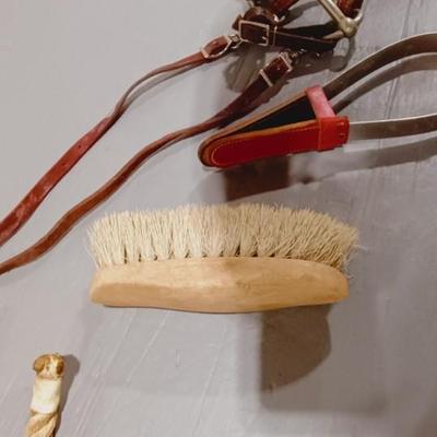 HORSE BRIDLE, LEAD ROPE AND GROOMING BRUSHES