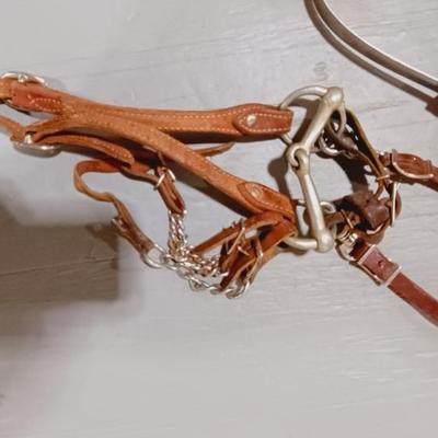 HORSE BRIDLE, LEAD ROPE AND GROOMING BRUSHES
