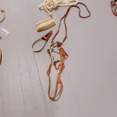 HORSE BRIDLE, LEAD ROPE AND GROOMING BRUSHES