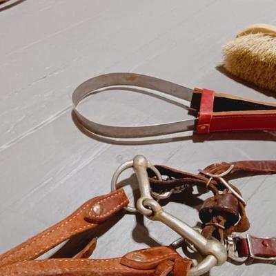 HORSE BRIDLE, LEAD ROPE AND GROOMING BRUSHES