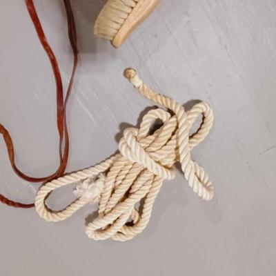 HORSE BRIDLE, LEAD ROPE AND GROOMING BRUSHES