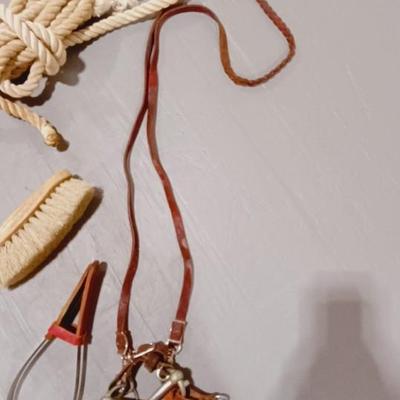 HORSE BRIDLE, LEAD ROPE AND GROOMING BRUSHES