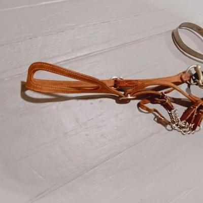 HORSE BRIDLE, LEAD ROPE AND GROOMING BRUSHES