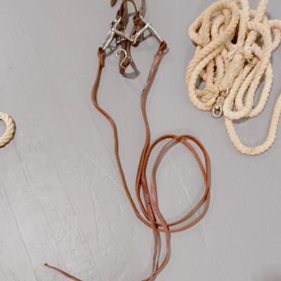 HORSE BRIDLE AND LEAD ROPE