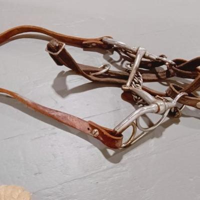 HORSE BRIDLE AND LEAD ROPE