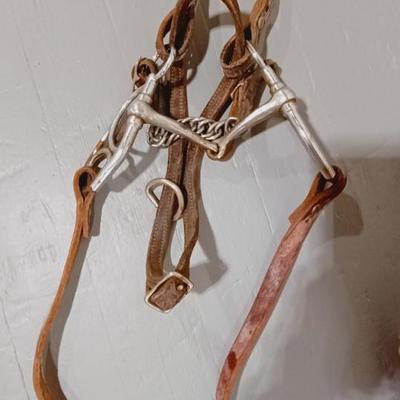 HORSE BRIDLE AND LEAD ROPE