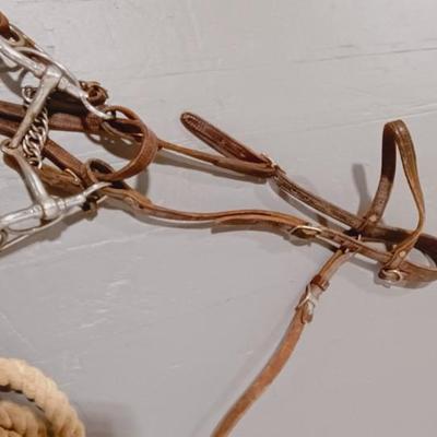 HORSE BRIDLE AND LEAD ROPE