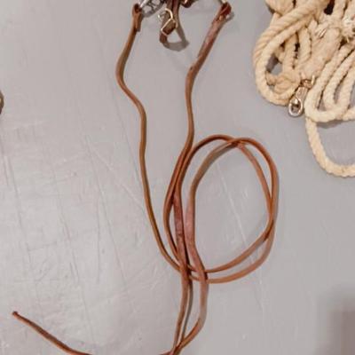 HORSE BRIDLE AND LEAD ROPE