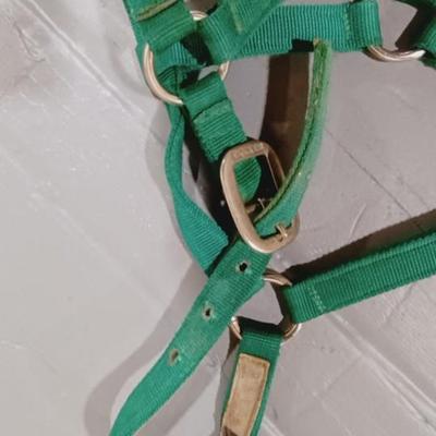 NYLON HORSE HALTER, WOOL SADDLE PAD, SADDLE BLANKET AND CINCH