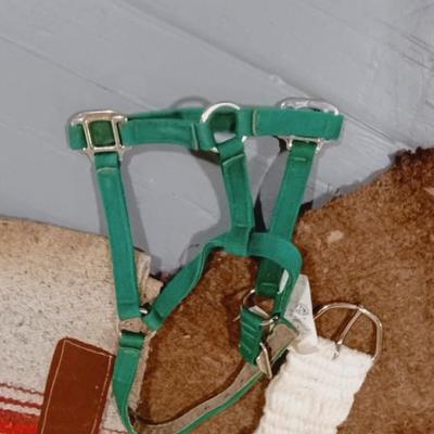 NYLON HORSE HALTER, WOOL SADDLE PAD, SADDLE BLANKET AND CINCH