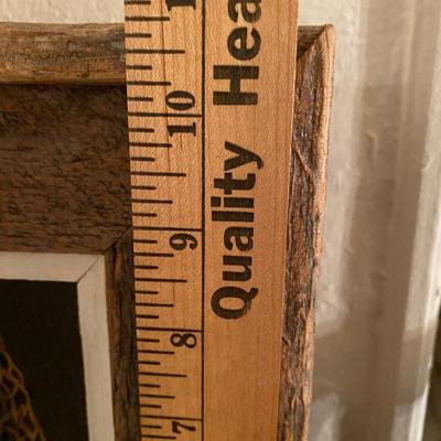 Morel mushroom Painting by Joe Shell