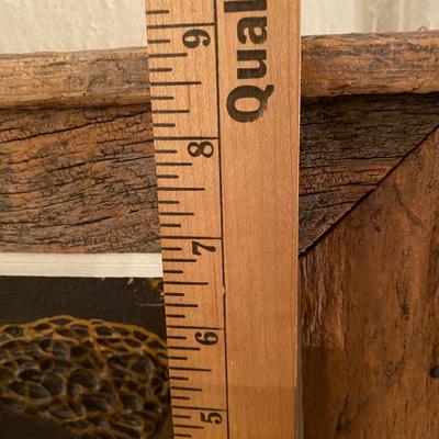 Morel mushroom Painting by Joe Shell