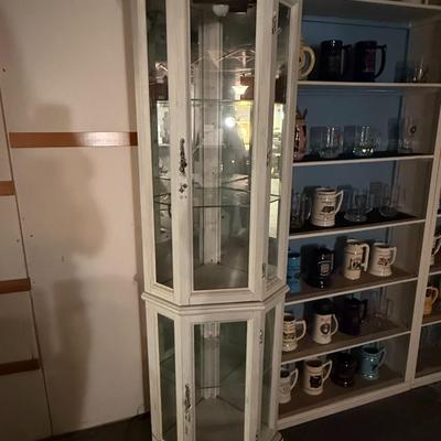 Lighted Curio Cabinet (basement)