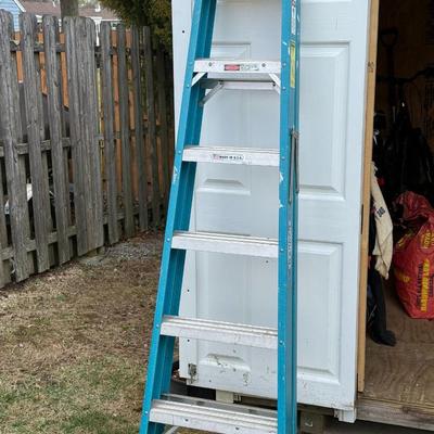 Werner 6 ft Ladder