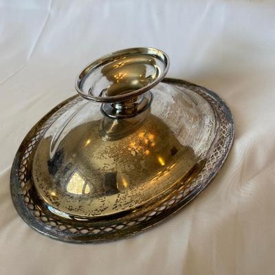 Silver Plated Server