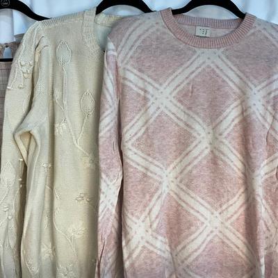 Lot C 404 Pink Plaid Women’s J. Crew Plus Size Lot (XXL)
