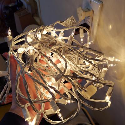 Outdoor Christmas Decor and Lights (G-BBL)