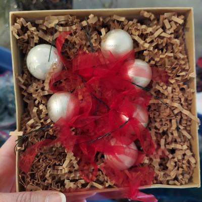 Outdoor Christmas Decor and Lights (G-BBL)