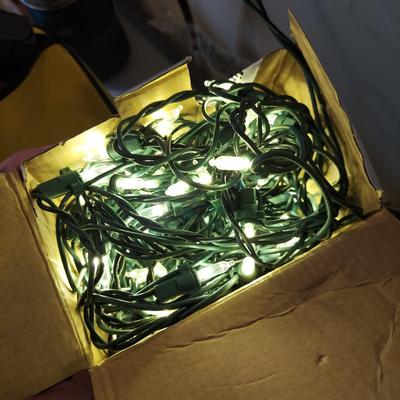 Outdoor Christmas Decor and Lights (G-BBL)