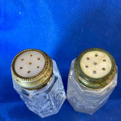 Etched Glass Salt and Pepper Shakers