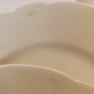 Haviland Schleiger Dinner Plates