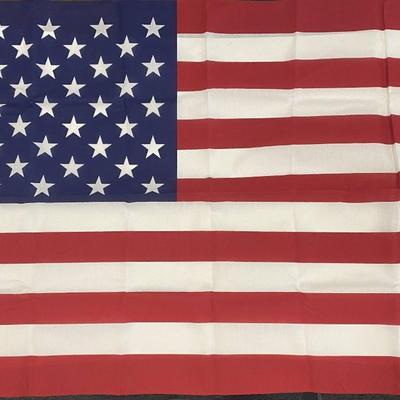 Vintage Sentinel U.S Flag