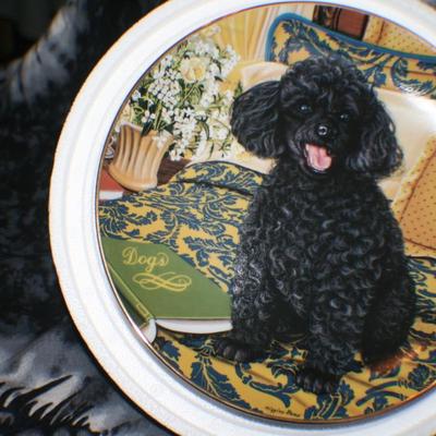 Danbury Mint Black Poodle Plate