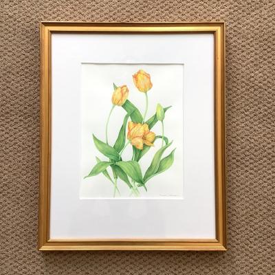 L625 Original Drawing of "Tulip Species" by Lee D'Zmura