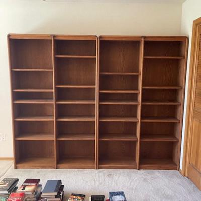 Book Shelves (2)