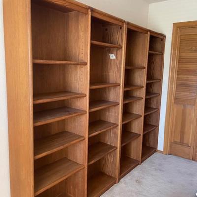 Book Shelves (2)