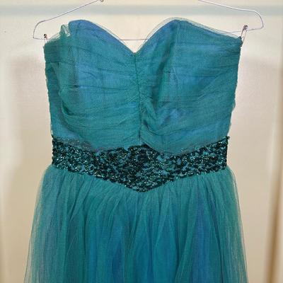 LOT 49B: Vintage Formal Dress Collection